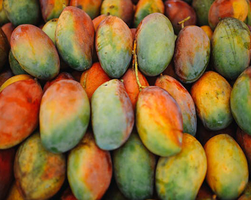 Mango