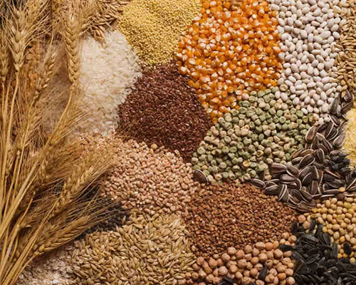 Other agricultural produce