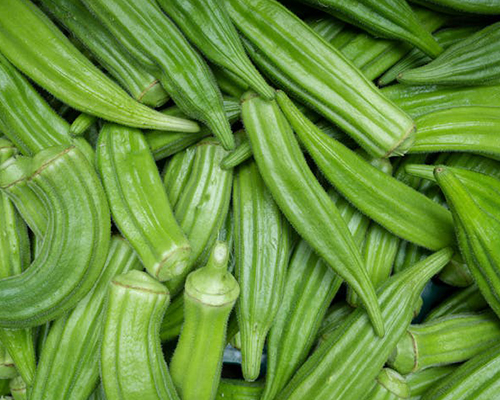 Okra (Lady Finger)