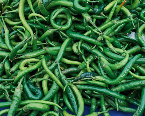 Green Chilli